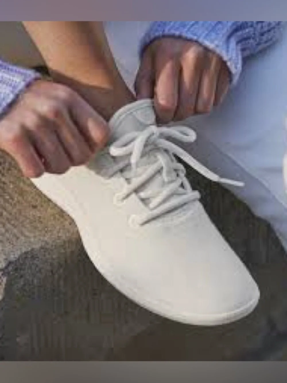 allbirds your are
